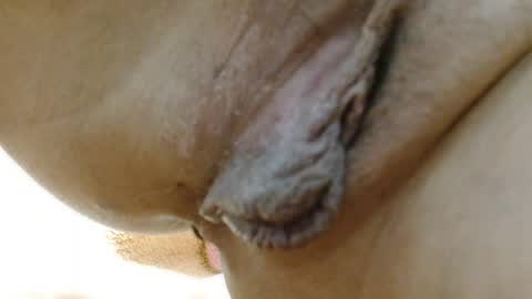 ANNYANNY online show from April 4, 4:36 pm