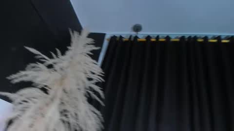 CelinaYHanck online show from February 22, 2:52 pm