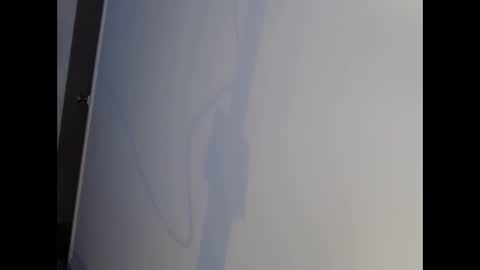 Celine Costas online show from October 31, 2:17 pm