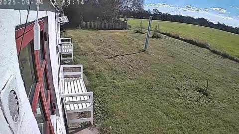 chefben666 online show from September 24, 11:06 am