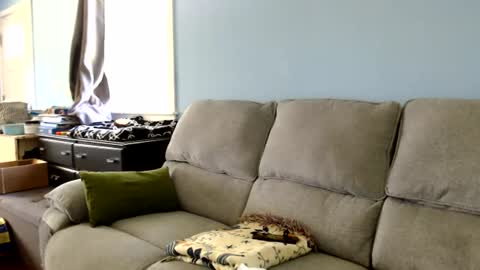 Chelsea online show from June 29, 1:11 pm