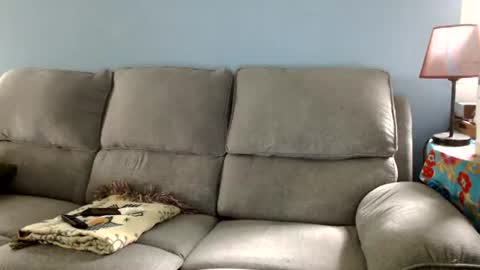 Chelsea online show from June 23, 2:34 pm