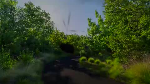 Chris online show from January 27, 8:07 am