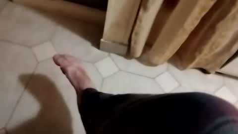 ciccilli online show from November 2, 9:59 pm