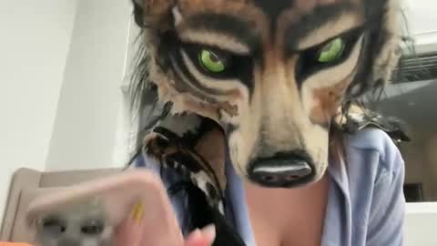 Nicky online show from November 17, 6:38 am