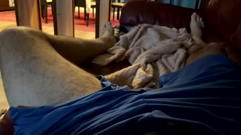 Snapshot of cj3d2 chatting on December 13, 9:51 pm Cjd32 online show from December 13, 9:51 pm