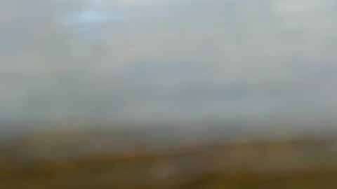 clidefrog555237928 online show from May 10, 9:32 pm