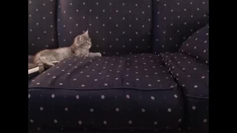 copper_crotch online show from December 14, 10:27 pm