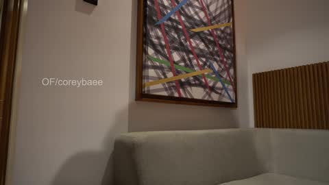 Snapshot of coreybae chatting on January 4, 3:07 am coreybae online show from January 4, 3:07 am