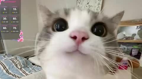 Sonya online show from November 30, 12:50 am