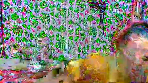 cristine316 online show from February 25, 5:19 am