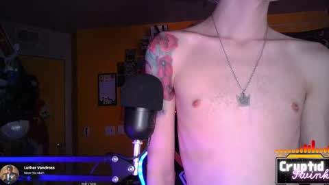 CryptidTwink online show from March 24, 6:08 am