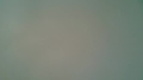 ctbddc online show from February 10, 1:44 pm