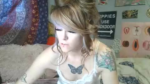     online show from February 12, 8:34 pm