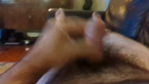 cubforotter online show from October 20, 11:37 am