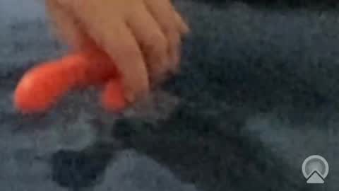 cucksissyslut online show from November 4, 8:21 pm