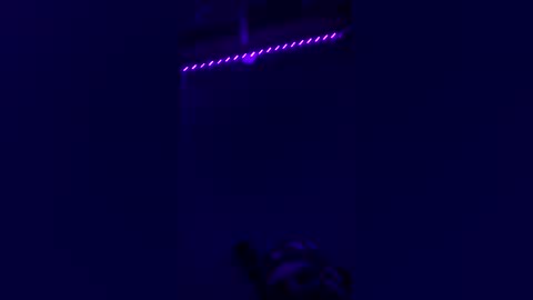 cudi661807 online show from March 29, 6:48 am