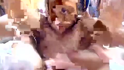 cumfetishswallower online show from November 2, 10:26 am