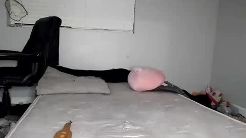 Lucifina ganja kittens online show from December 30, 5:15 am