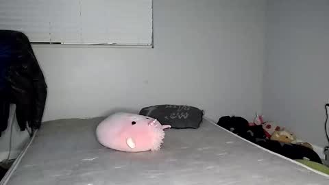 Lucifina ganja kittens online show from December 20, 4:42 am