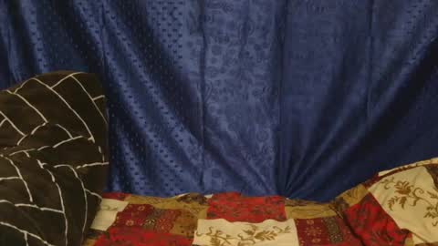 kashmira online show from February 19, 10:23 am