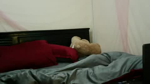 Lilly online show from February 4, 7:40 pm