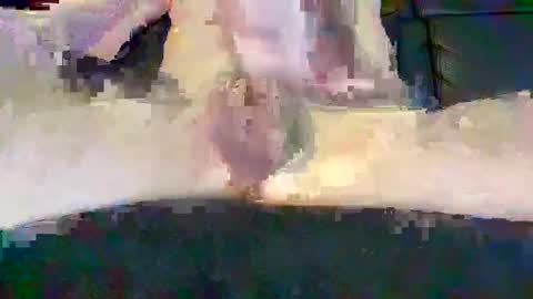 cwaddle online show from February 16, 3:48 pm