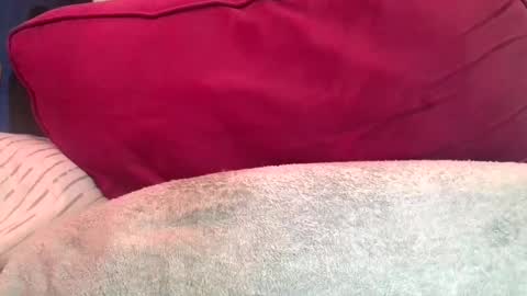 daddyy008 online show from September 10, 9:49 pm