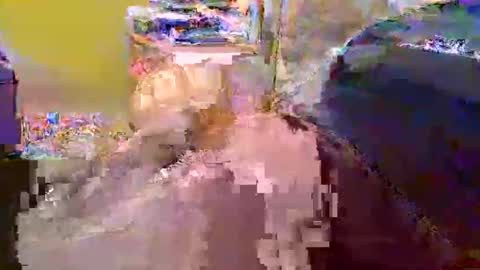 dafo1980 online show from April 23, 10:23 am