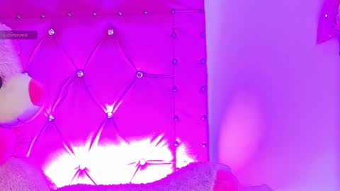    online show from February 22, 8:29 am