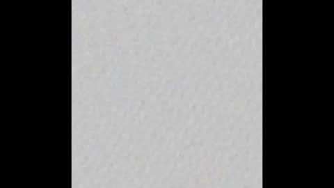 Daisy online show from November 17, 3:31 am