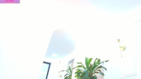 Daisy Price online show from October 19, 11:48 am