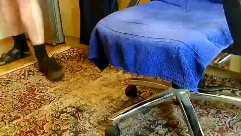 Dammerl online show from December 11, 1:06 pm