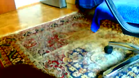 Dammerl online show from March 12, 10:59 am