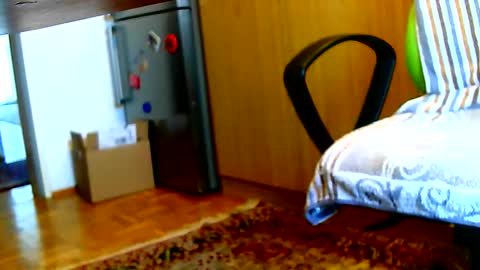 Dammerl online show from February 3, 7:40 am