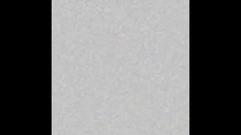 Danne online show from December 17, 4:58 pm