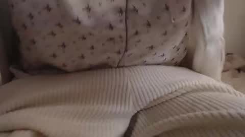 Daniella online show from January 18, 11:30 am