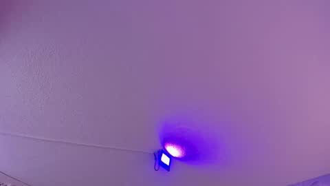 Daniela online show from March 11, 10:51 am