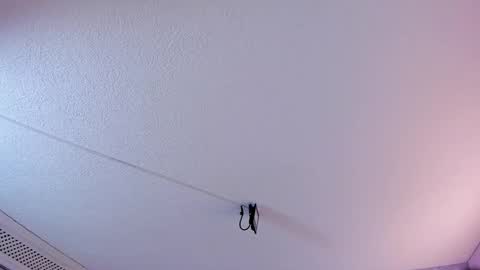 Daniela online show from February 19, 10:45 am