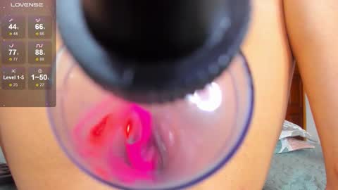 DANIA online show from October 26, 5:41 am