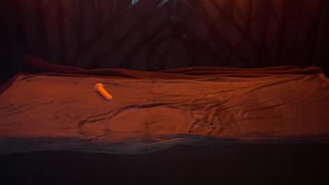 danielareign online show from December 20, 7:26 am