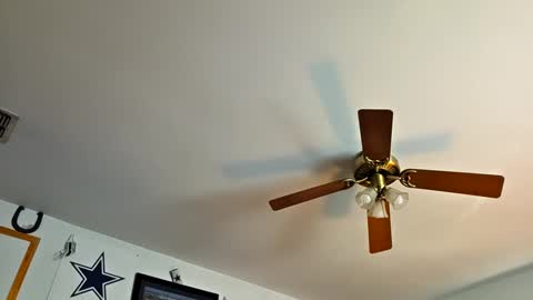 Daniel    y. online show from September 19, 8:56 pm