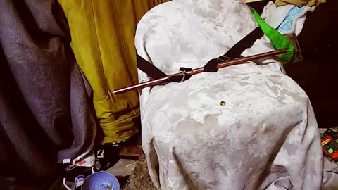 dandeb online show from November 27, 12:24 pm