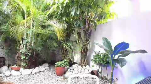 Dannamunoz130 online show from May 31, 1:32 pm