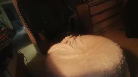 Danielle online show from April 16, 11:29 pm