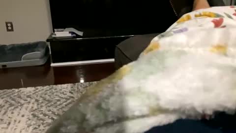 dannyboy621 online show from October 30, 9:32 am