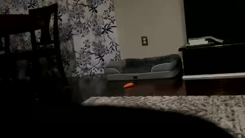 dannyboy621 online show from October 20, 9:47 am