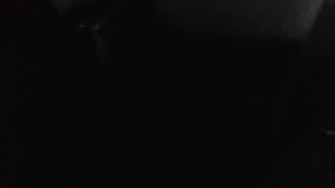 Danny L. online show from February 17, 6:29 pm