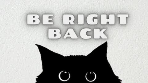 darling  online show from March 3, 10:44 am