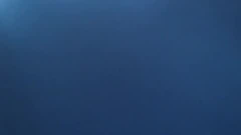 davdao3 online show from November 2, 9:09 am